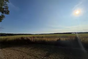 16788 SE 69 Ln, Ocklawaha, FL 32179 - Photo 13