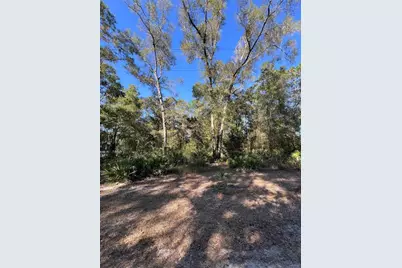 Tbd SE 179th Place, Summerfield, FL 34491 - Photo 1