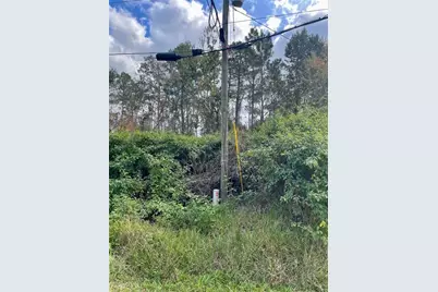 000 Fisher Run, Ocklawaha, FL 32179 - Photo 5