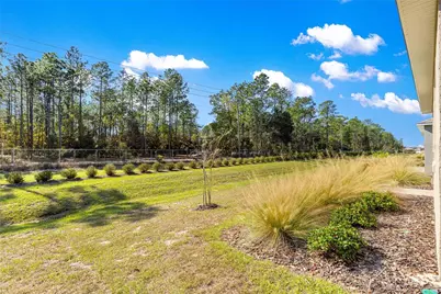 10242 SW 99th Lane, Ocala, FL 34481 - Photo 51