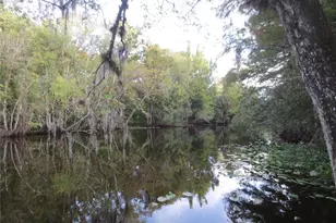 2601 SE 175th Terrace Rd, Silver Springs, FL 34488 - Photo 67