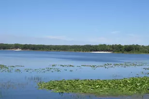 2601 SE 175th Terrace Rd, Silver Springs, FL 34488 - Photo 87