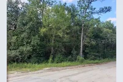 341 S County Road 315, Interlachen, FL 32148 - Photo 5