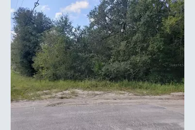 345 S County Road 315, Interlachen, FL 32148 - Photo 5