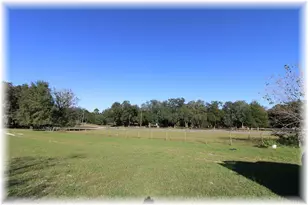 10774 SE 166th Ln, Summerfield, FL 34491 - Photo 5