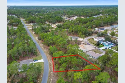 1891 W Riley Drive, Dunnellon, FL 34434 - Photo 9