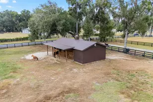 12009 NE 8th Ct, Ocala, FL 34479 - Photo 51