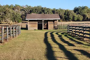 11715 NW 90th Ave, Reddick, FL 32686 - Photo 85