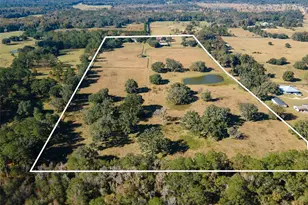 11715 NW 90th Ave, Reddick, FL 32686 - Photo 13