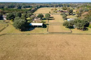 11715 NW 90th Ave, Reddick, FL 32686 - Photo 15