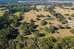 11715 NW 90th Ave, Reddick, FL 32686 - Photo 13