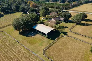 11715 NW 90th Ave, Reddick, FL 32686 - Photo 17