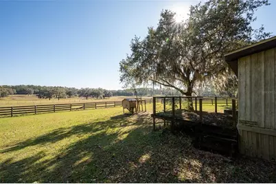11715 NW 90th Avenue, Reddick, FL 32686 - Photo 83