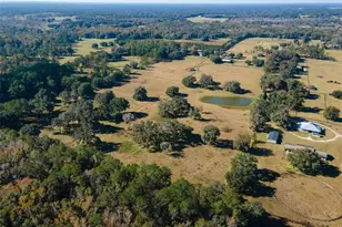 11715 NW 90th Ave, Reddick, FL 32686 - Photo 15