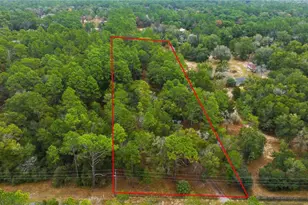 5475 SW 194th Ave, Dunnellon, FL 34432 - Photo 3