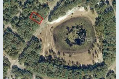 Orange Rd, Ocklawaha, FL 32179 - Photo 1