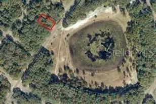 Orange Rd, Ocklawaha, FL 32179 - Photo 1