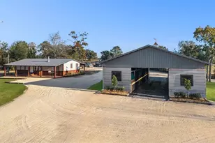 6491 SE 185 Terrace, Morriston, FL 32668 - Photo 3