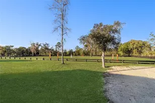 6491 SE 185 Terrace, Morriston, FL 32668 - Photo 45