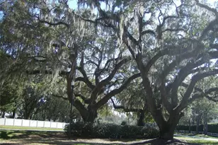 16 Easter Ross Ct, Leesburg, FL 34788 - Photo 33