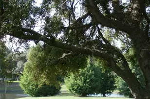 16 Easter Ross Ct, Leesburg, FL 34788 - Photo 39