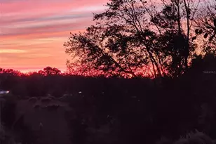 13835 SE 85th Cir, Summerfield, FL 34491 - Photo 37