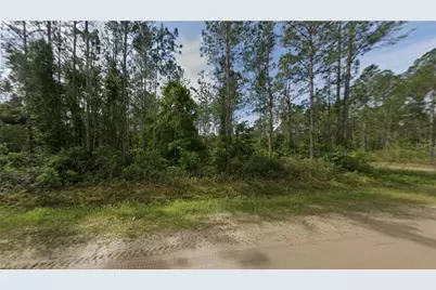 10720 Beckenger Avenue, Hastings, FL 32145 - Photo 3