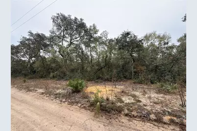 Tbd NE 234th Place, Fort Mc Coy, FL 32134 - Photo 3