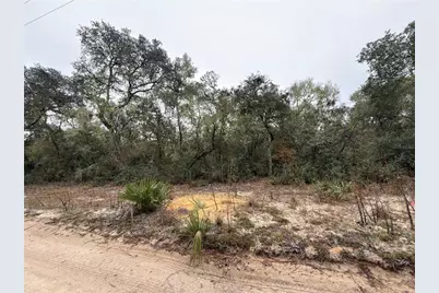 Tbd NE 234th Place, Fort Mc Coy, FL 32134 - Photo 1