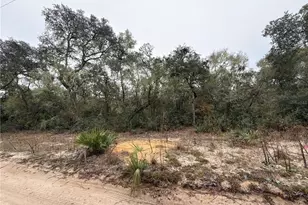 Tbd NE 234th Pl, Fort Mc Coy, FL 32134 - Photo 1