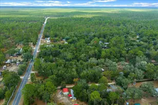 20356 NE 143rd St, Salt Springs, FL 32134 - Photo 51