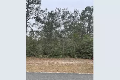 18530 SW 44th Street, Dunnellon, FL 34432 - Photo 1