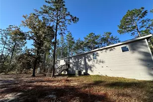 451 SE 144 Ave, Williston, FL 32696 - Photo 27