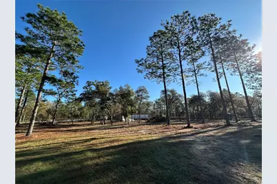 451 SE 144th Avenue, Williston, FL 32696 - Photo 45