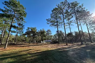 451 SE 144 Ave, Williston, FL 32696 - Photo 45