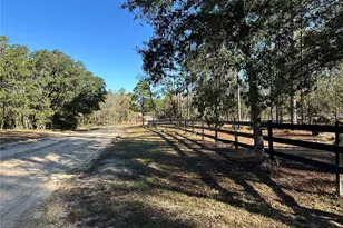 451 SE 144 Ave, Williston, FL 32696 - Photo 35