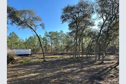 451 SE 144th Avenue, Williston, FL 32696 - Photo 31