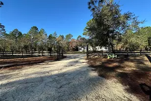451 SE 144 Ave, Williston, FL 32696 - Photo 29