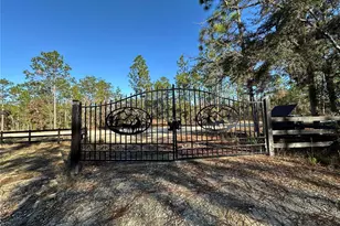 451 SE 144 Ave, Williston, FL 32696 - Photo 33