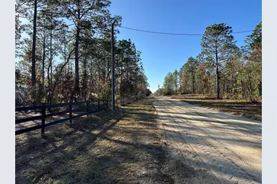 451 SE 144th Avenue, Williston, FL 32696 - Photo 41