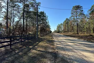 451 SE 144 Ave, Williston, FL 32696 - Photo 41