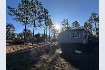 451 SE 144th Avenue, Williston, FL 32696 - Photo 3