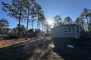 451 SE 144 Ave, Williston, FL 32696 - Photo 3