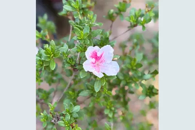 7670 SE 22nd Avenue, Ocala, FL 34480 - Photo 19