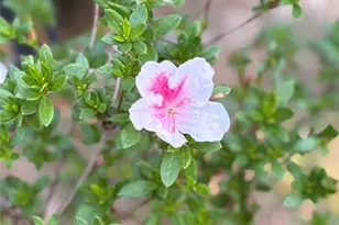 7670 SE 22nd Ave, Ocala, FL 34480 - Photo 19