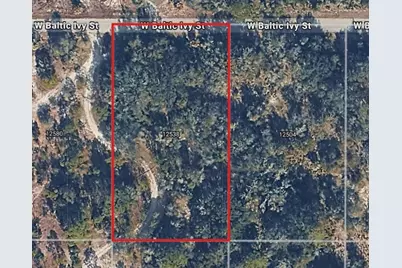 12538 W Baltic Ivy Street, Crystal River, FL 34428 - Photo 1