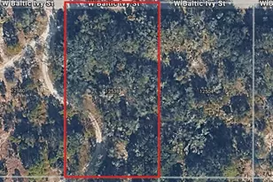 12538 W Baltic Ivy St, Crystal River, FL 34428 - Photo 1