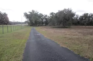 9851 E Thomas Rd, Floral City, FL 34436 - Photo 3