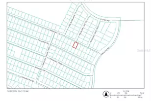 0 Malauka Ln, Ocklawaha, FL 32179 - Photo 1
