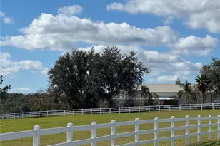 17725 Powerline Rd, Dade City, FL 33523 - Photo 5